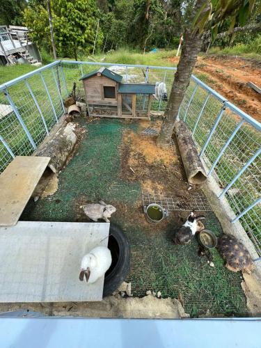 BUKIT LIMAU REST HOUSE BUKIT LIMAU REST HOUSE