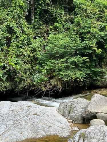 BUKIT LIMAU REST HOUSE BUKIT LIMAU REST HOUSE