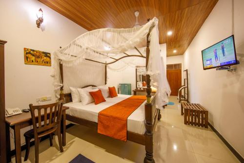 Mimoza Mirissa in 미리사