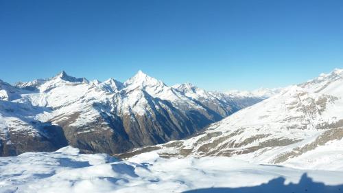 Hotel Adonis - image 13