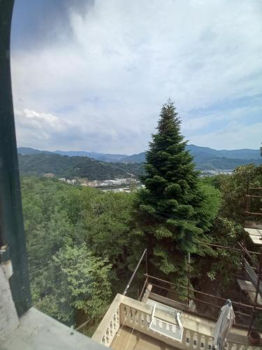 AFFITTACAMERE SAN BIAGIO, Genua (zdjęcie 10)