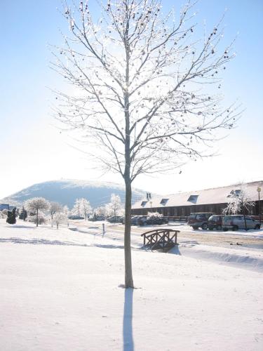 Petneházy Club Hotel Superior - image 6