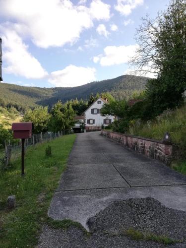 Gîte des abeilles du Kohlberg - Apartment - Wangenbourg