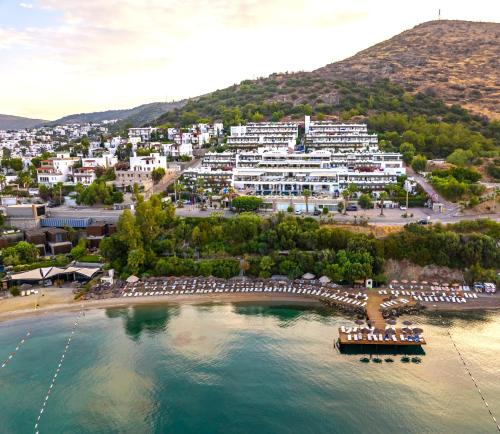 Forever Club - Adult Only - main image