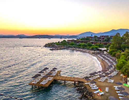 Forever Club - Adult Only - image 5