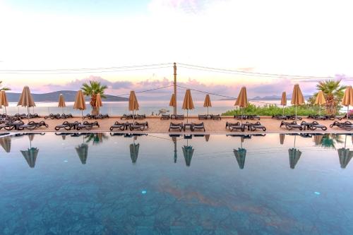 Forever Club - Adult Only - image 10