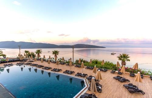 Forever Club - Adult Only - image 12