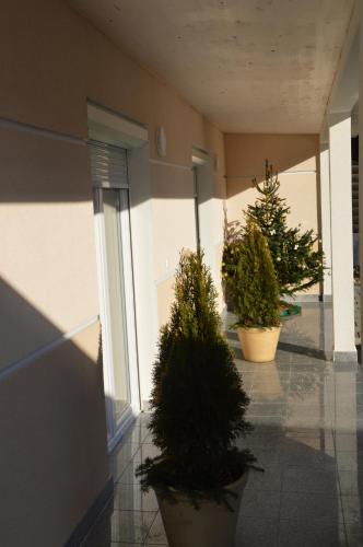 Erkély/terasz, Private Room Pyrkerstraße in Anger