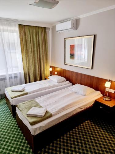 Deluxe Twin Room with Air Condition