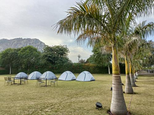 Apkārtne, WILD RIDGE SARISKA RESORT in Viratnagar