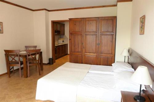 Bansko Luxury apartment in St Ivan Rilski Spa 4 Bansko Private SPA & Minreal Hot water pools