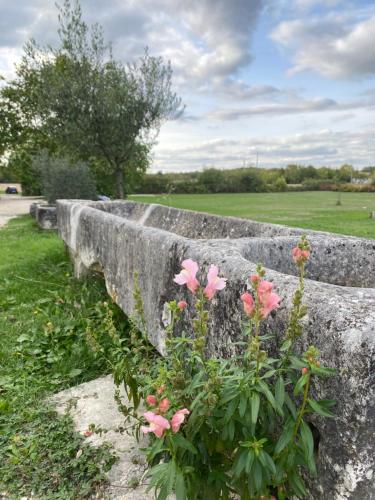 Domaine de la Laigne - Spa