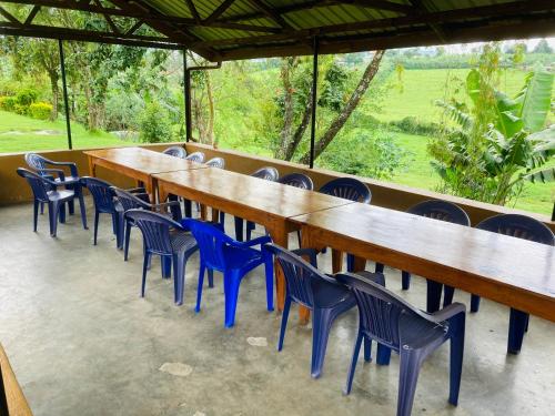 Jardim, Yes Hostel in Fort Portal