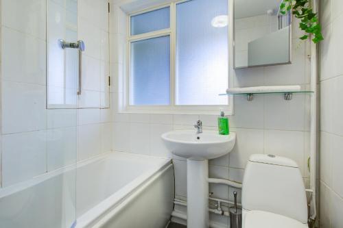 London Studio Apartment in Elephant and Castle, Londýn (fotografie 9)