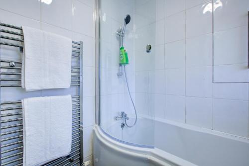 London Studio Apartment in Elephant and Castle, Londýn (fotografie 8)
