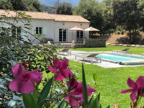 B&B Corte - Domaine de Bracciole - Bed and Breakfast Corte