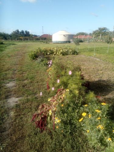 Jurtafarm Ráckeve - a nomád luxus Jurtafarm Ráckeve - a nomád luxus