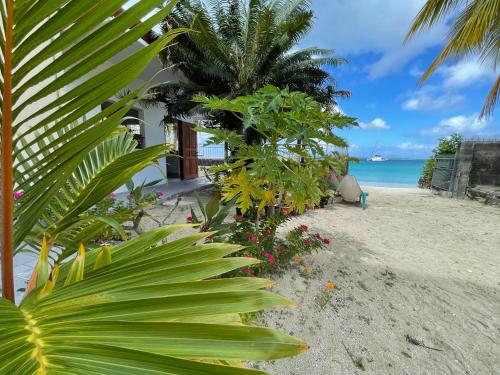 Surrounding environment, Huahine Beach House in Huahine Island