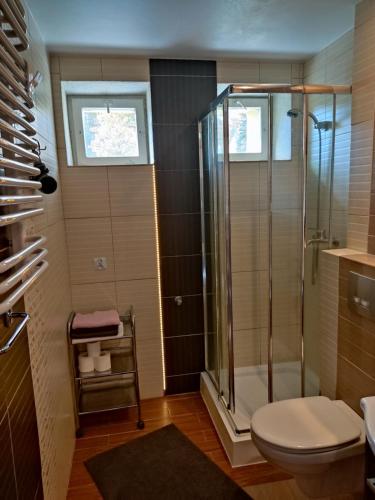 Mieszkanie / Apartament centrum blisko szlaków i wyciągów !!!, Szklarska Poręba (foto 7)