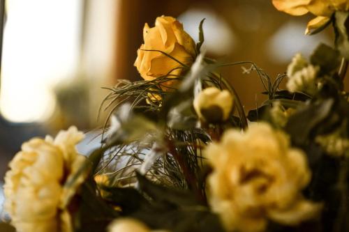 Hotel Bergwiesen - Zimmer mit Balkon oder Terasse