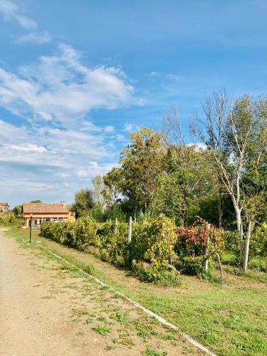 Villa Bubù, Appartamento Country-chic