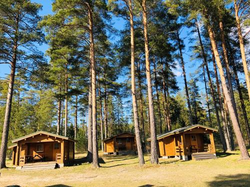 Artur´s Eaterie and Holiday home in Viitna