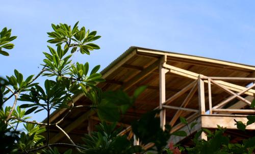 Eden Jungle Lodge Panama