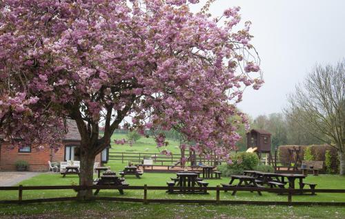 The Langton Arms - Tap to explore photos