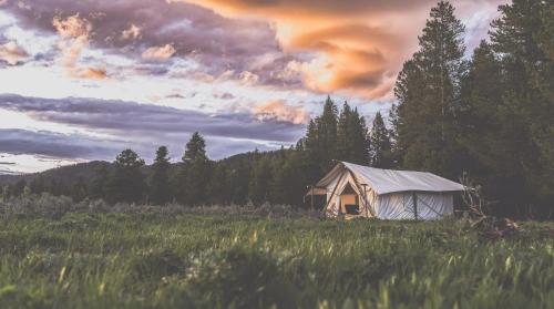 Tammah - Yellowstone Island Park