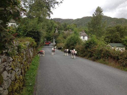 Elterwater Hostel - image 3