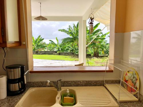 View, Studio Launa - 5 lotissenent Tolbiac 2 Route de la Regrettee 97114 Trois - Rivieres in Trois-Rivieres