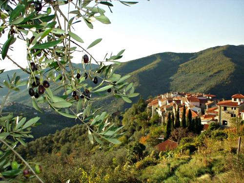  Borgata Castello, Pension in Chiusanico