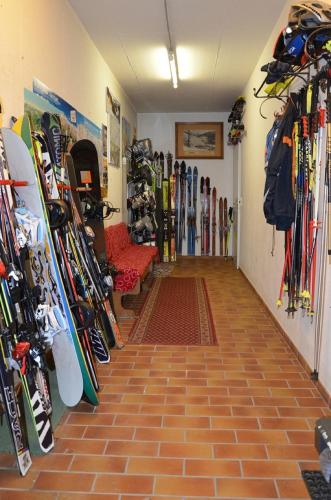 Pension Zillertal - image 11