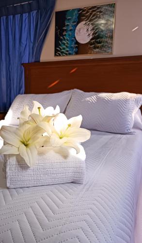 Executive Suite room in Elegance Hotel