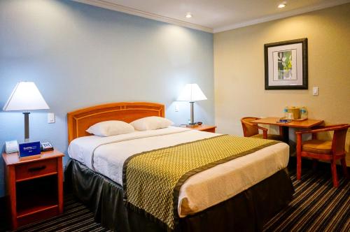 Hotel Parmani - image 7