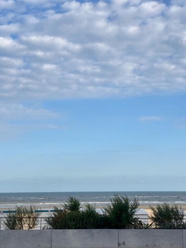 Strandstudio in hartje Koksijde, Koksijde (fotografie 9)
