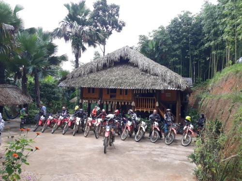Vu Linh Palm House Homestay - Bungalow