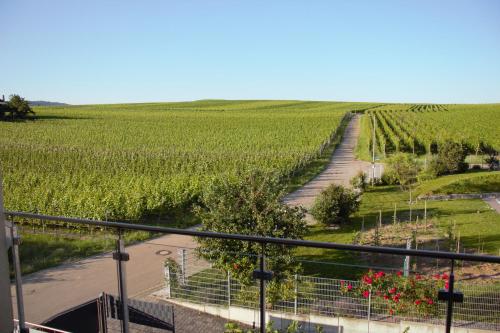 B&B Bischoffingen - Gästehaus Casa Luna - Paradiesische Ferienwohnungen am Kaiserstuhl! - Bed and Breakfast Bischoffingen