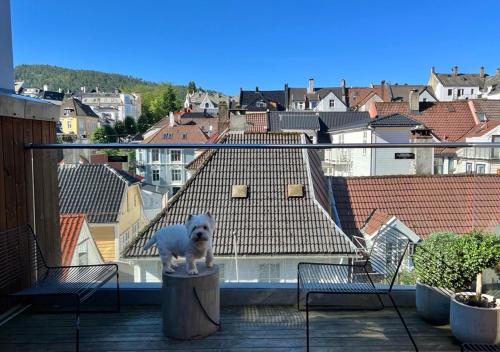 Citybox Bergen - image 11
