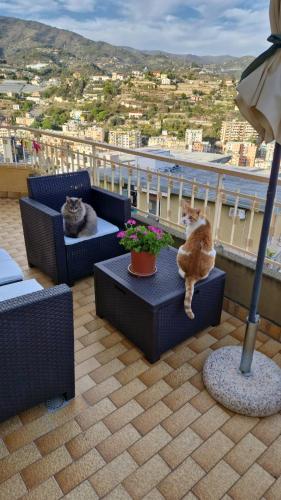  Il Paradiso del Relax Chambres d´hotes Affittacamere rooms in Sanremo