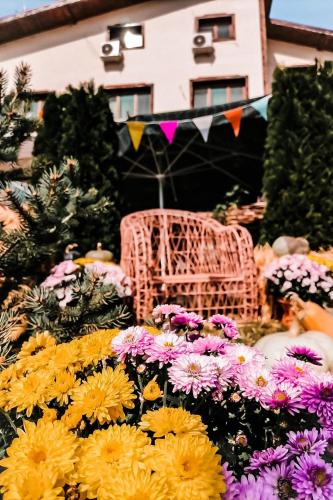 Family hotel Borovitsa - Hotel - Pŭdartsi