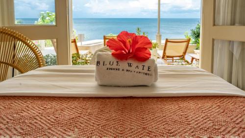 Blue Waters Resort and Spa