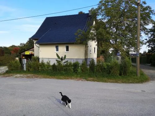 Ferienwohnung Schmidt in Sdier, Deutschland