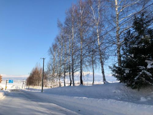 Furano Yayoi-house　