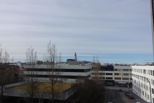 Beautiful flat in downtown Reykjavík with a veiw, Reykjavík (fotografie 7)