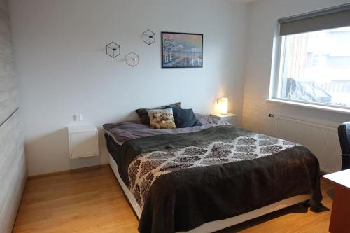Beautiful flat in downtown Reykjavík with a veiw, Reykjavík (fotografie 8)