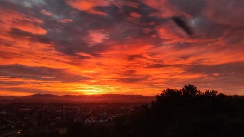 Der Florenberg - Gipfel für Genießer