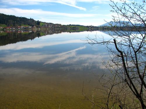 卡萨菲森酒店 卡萨菲森酒店