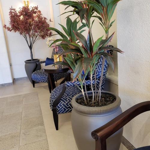 Ambassador, A Boutique Hotel