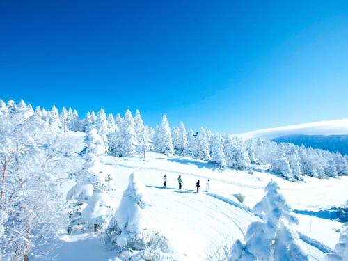 志賀高原王子大酒店 Shiga Kogen Prince Hotel